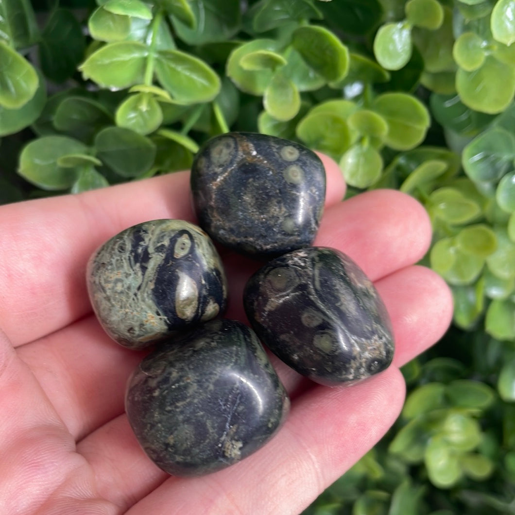 Tumbled Kambaba Jasper (1)