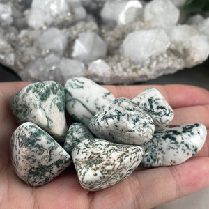 Tree Agate Tumble