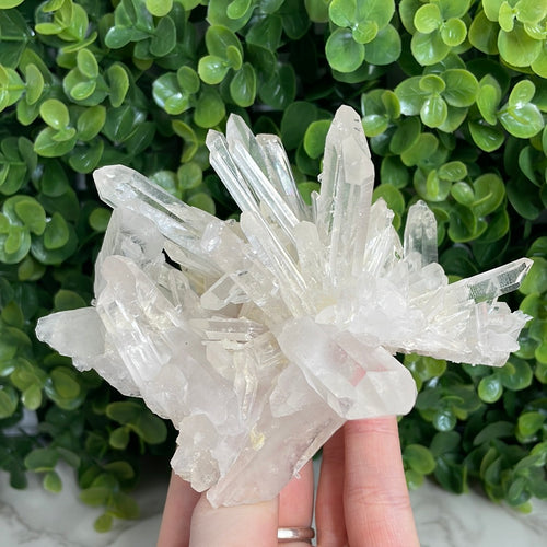 Clear Quartz Cluster