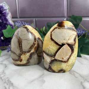 Septarian Freeform