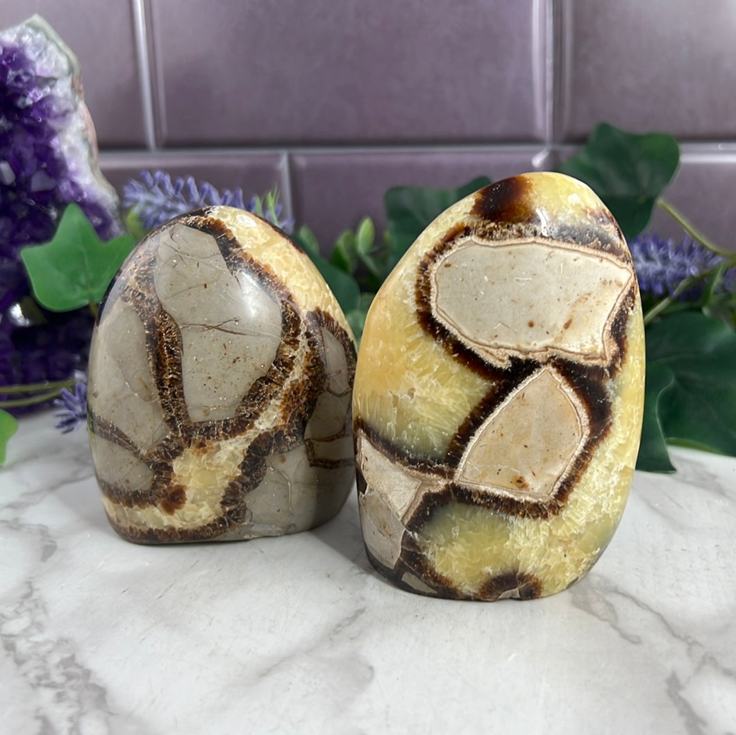 Septarian Freeform