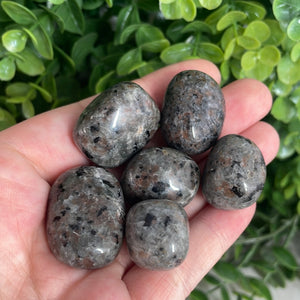 Tumbled Yooperlite