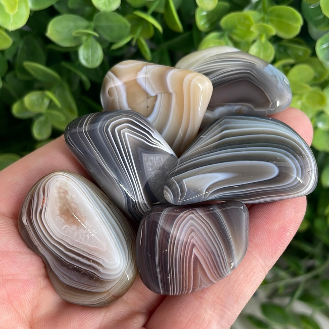 Tumbled Botswana Agate