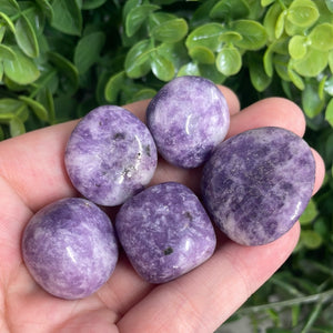 Tumbled Lepidolite