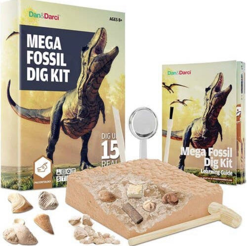 Jumbo Fossil Dig Kit