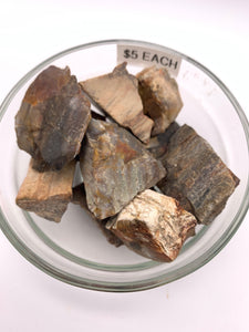 Petrified Wood