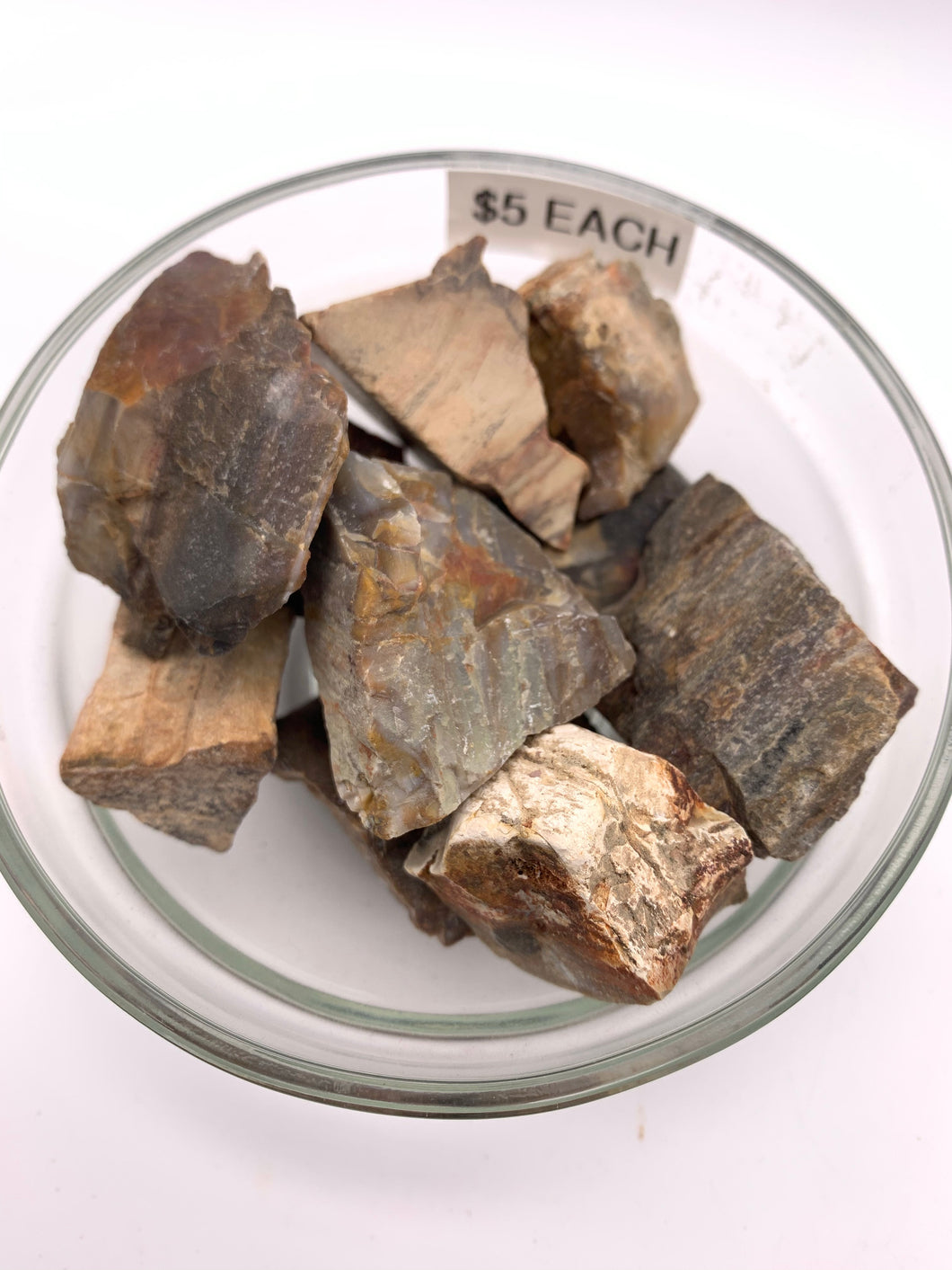 Petrified Wood