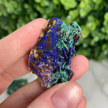 Load image into Gallery viewer, Barite/Azurite With Malachite