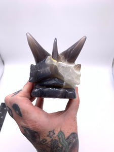 Dragon Skull Agate