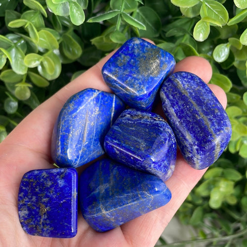 Lapis Lazuli Tumbled Stone (1)