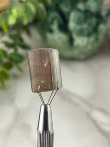 Watermelon Tourmaline