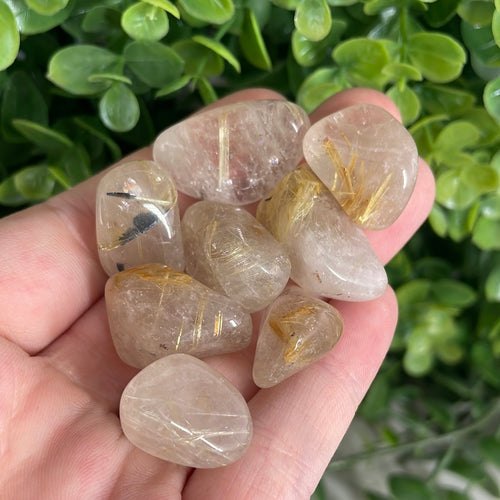 Tumbled Rutilated Quartz (1) | Polished Rutile Crystal | Healing Crystals | Rocks & Minerals