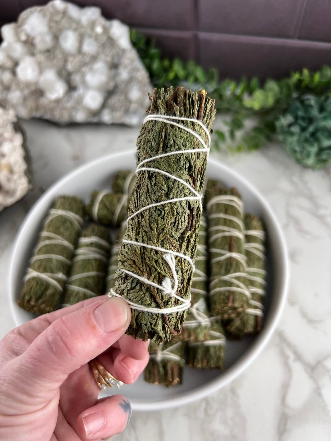 Cedar Bundle