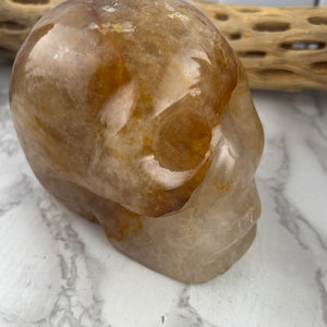 Golden Healer Skull