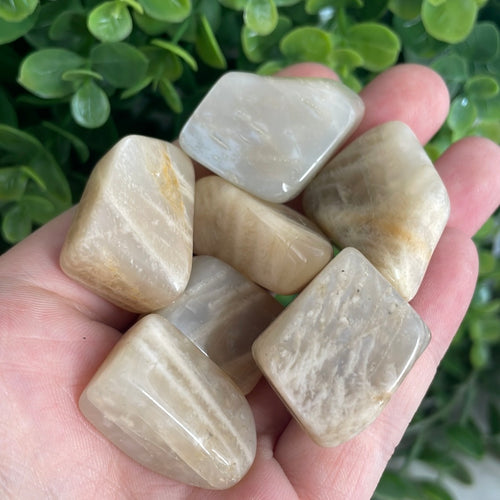 Tumbled Moonstone