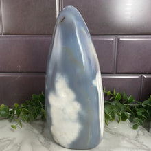 Load image into Gallery viewer, Orca Agate Freeform