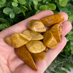 Yellow Jasper Tumbled Stone