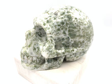 Load image into Gallery viewer, Tree Agate Skull Carving