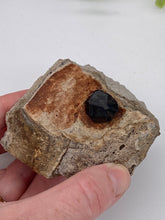 Load image into Gallery viewer, Garnet in the Matrix | Garnet Crystals | January Birthstone | Rocks &amp; Minerals | Mineral Specimen