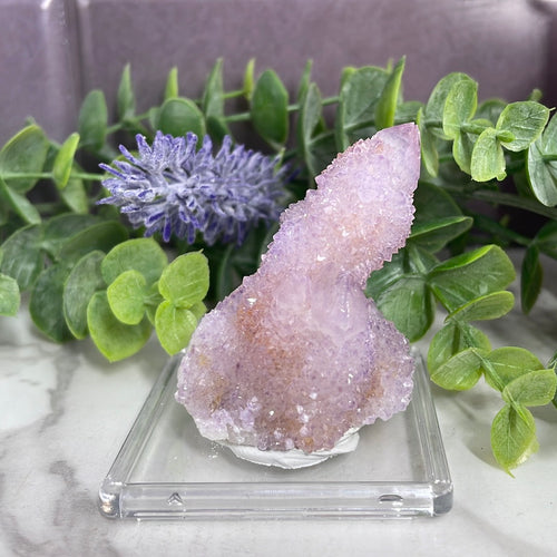 Cactus Spirit Quartz