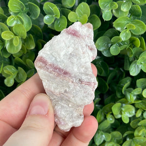 Pink Tourmaline In the Matrix