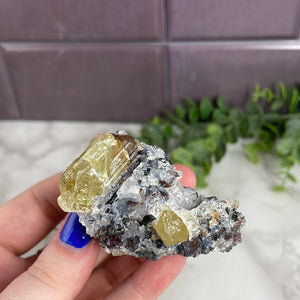 Apatite In The Matrix