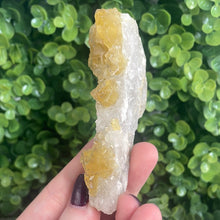 Load image into Gallery viewer, Cubic Yellow Fluorite