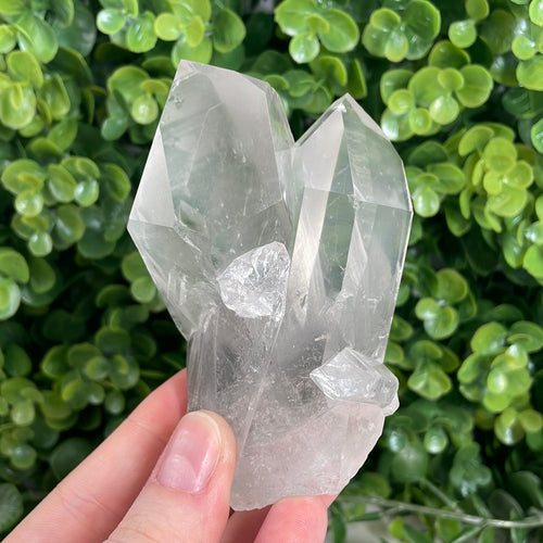 Clear Quartz Cluster