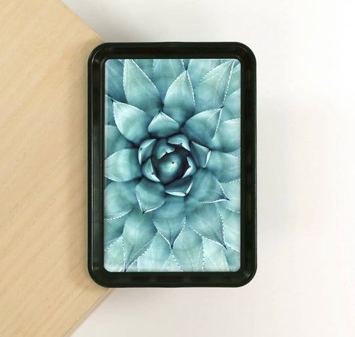 Blue Succulent Trinket Tray
