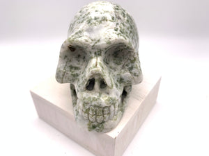 Tree Agate Skull Carving