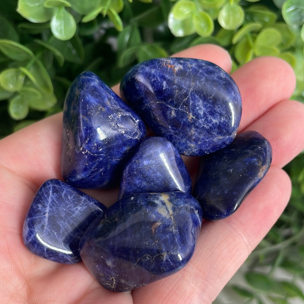 Tumbled Sodalite