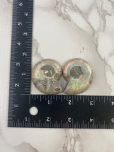 Load image into Gallery viewer, Ammonite Fossil Pair