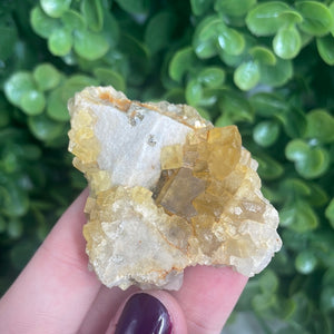 Cubic Yellow Fluorite