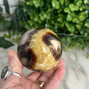 Septarian Egg