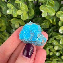 Load image into Gallery viewer, Kingman Turquoise
