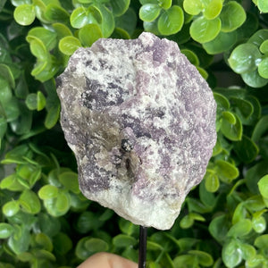 Raw Lepidolite On Metal Stand