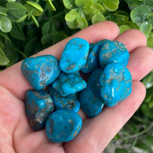 Tumbled Turquoise (Stabalized)