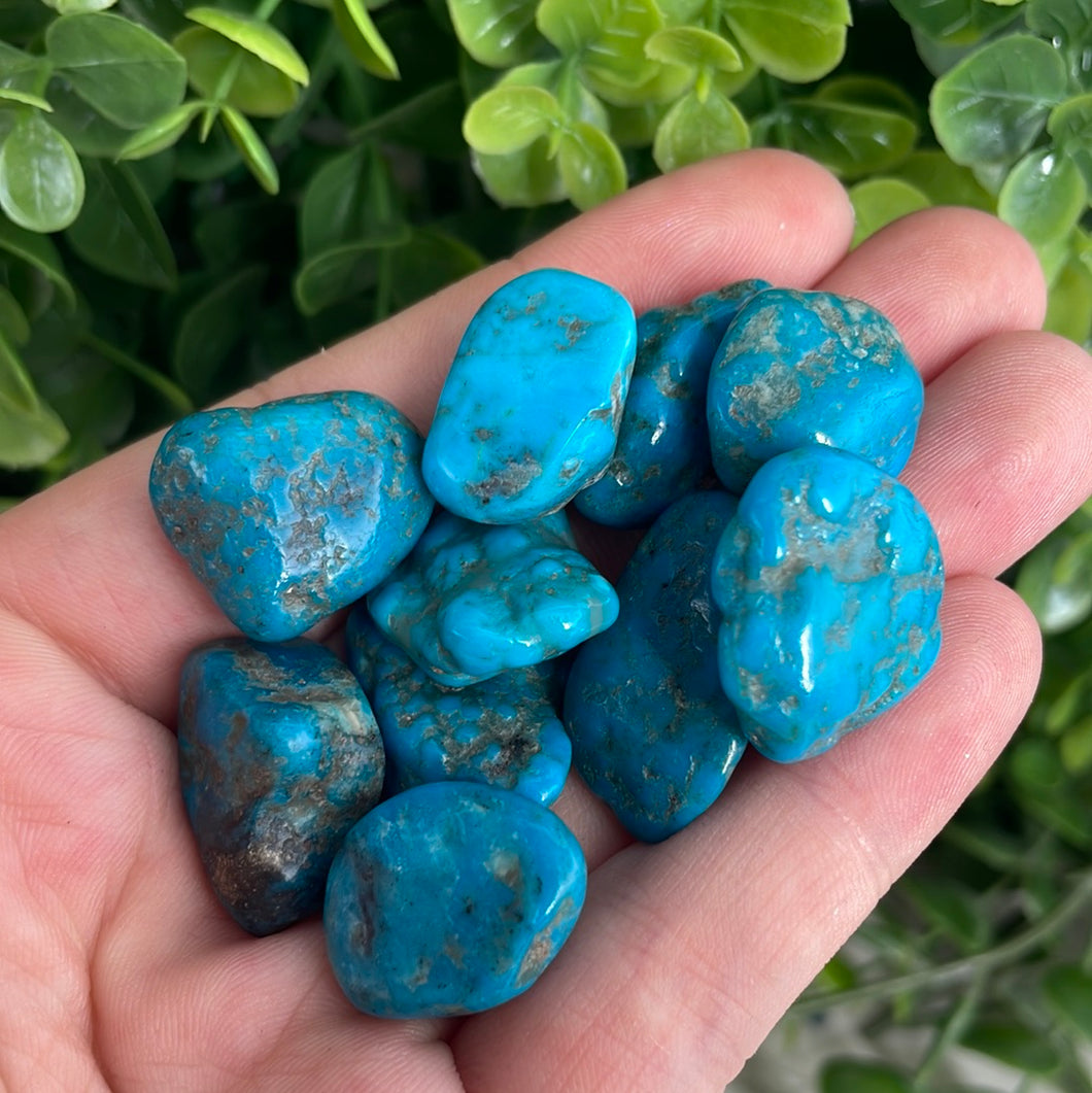 Tumbled Turquoise (Stabalized)