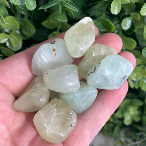 Tumbled Prehnite (1)