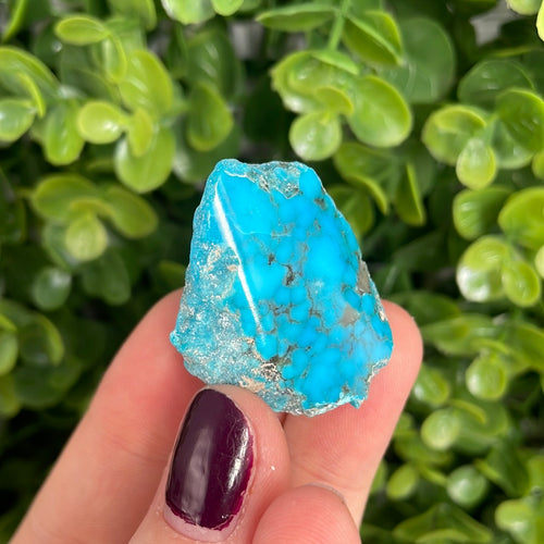 Kingman Turquoise