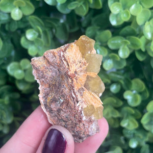 Cubic Yellow Fluorite