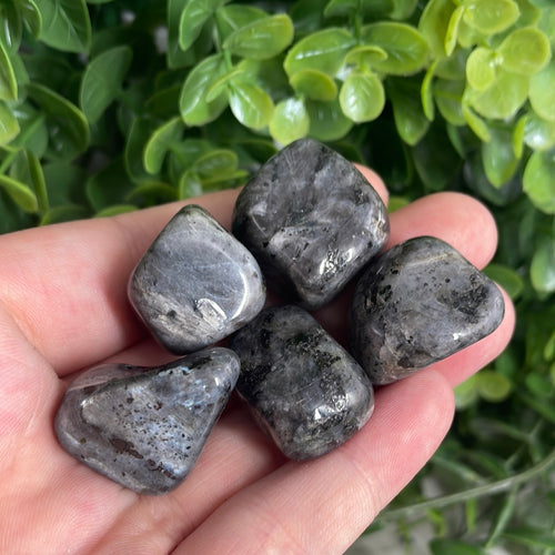 Tumbled Larvikite