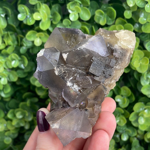 Cubic Multi-Colored Fluorite