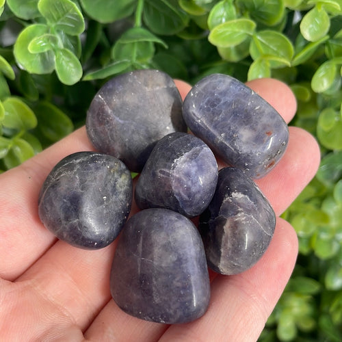 Iolite Tumbled Stone (1)