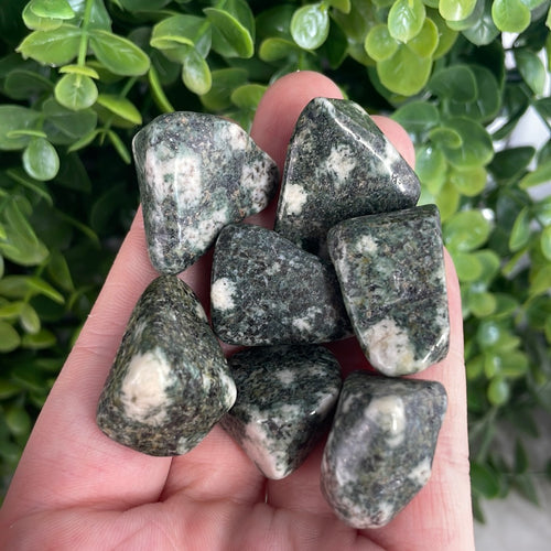 Stonehenge Preseli Bluestone