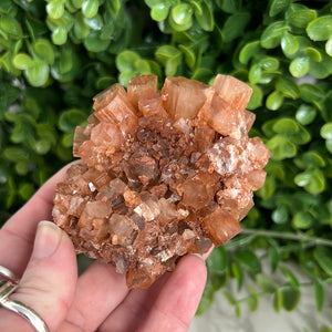 Aragonite