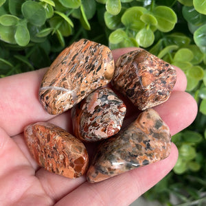 Tumbled Brecciated Jasper