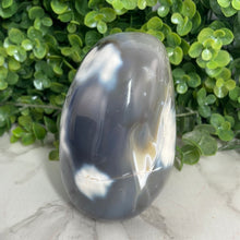 Load image into Gallery viewer, Orca Agate Freeform