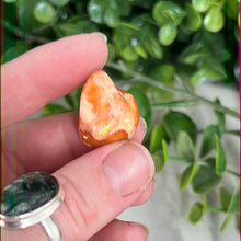 Load image into Gallery viewer, Fire Opal