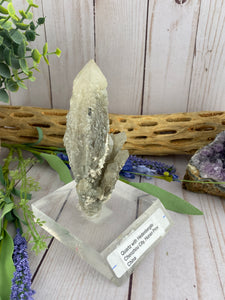 Quartz with Hedenbergite- RARE